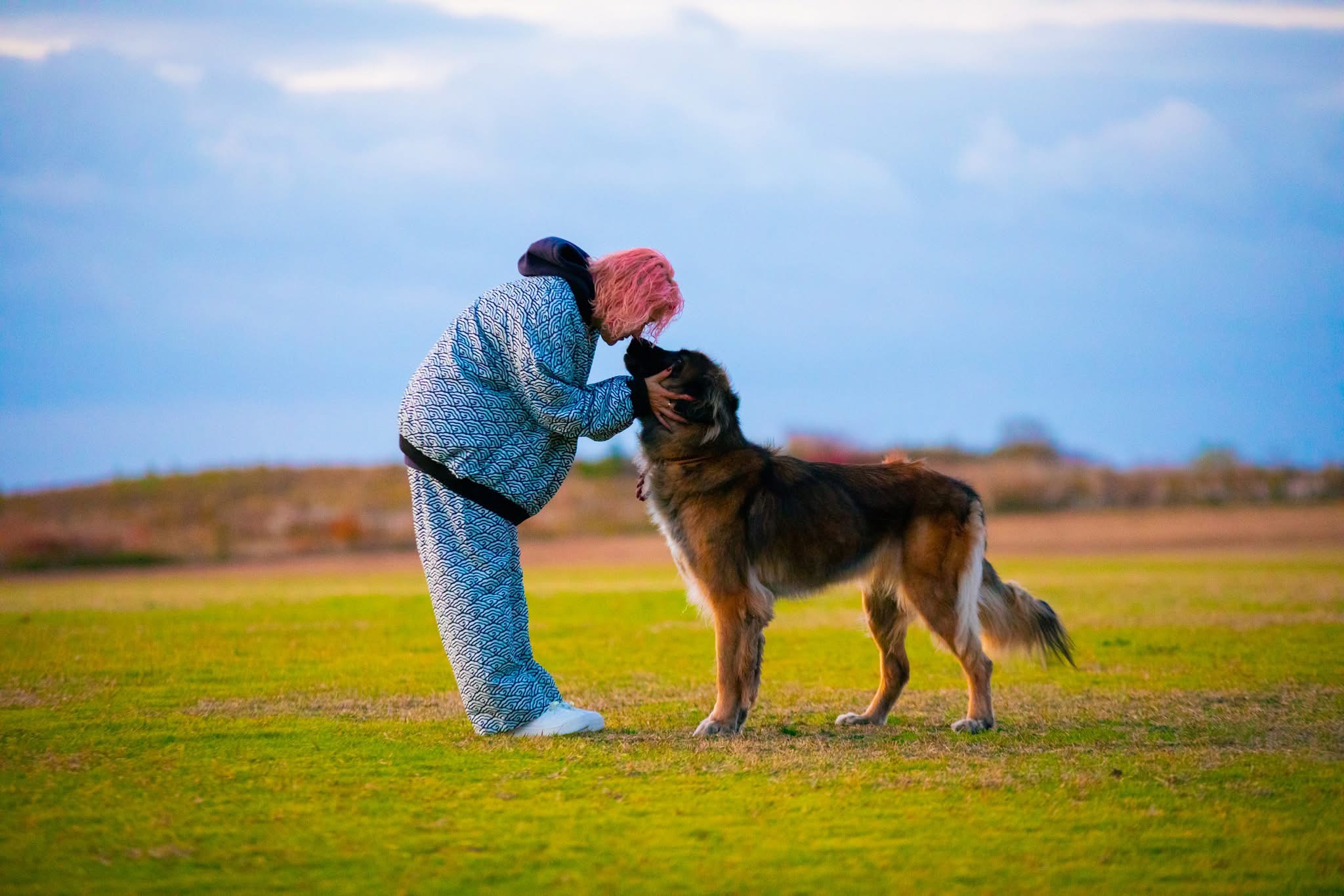 草原で大きな犬と向き合う人